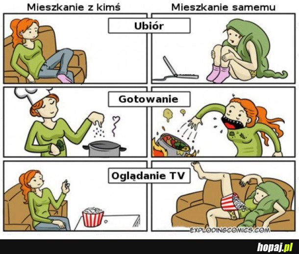 MIESZKANIE Z KIMŚ VS MIESZKANIE SAMEMU