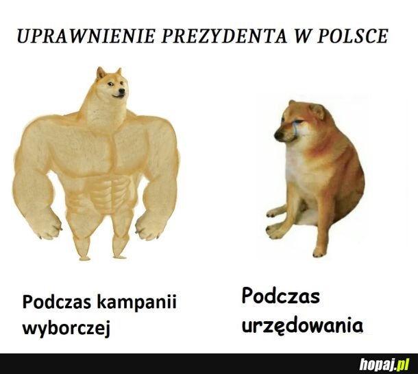 Władza prezydencka