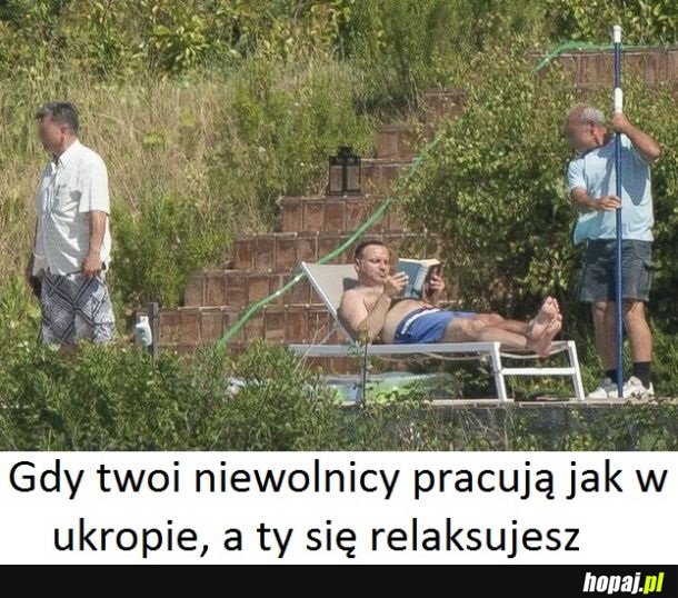 Aż serce rośnie