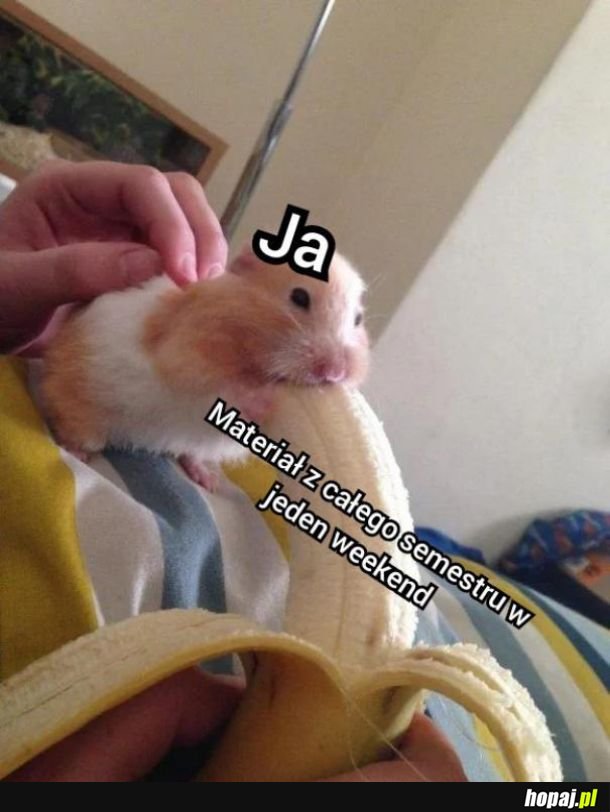 Materiał z całego semestru