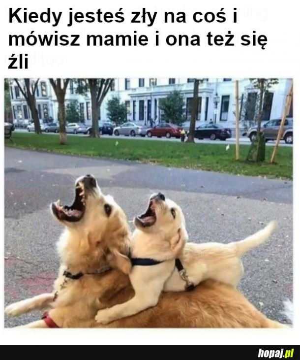 Pokazałam to mamie i powiedziała&quot;kurde tak dokładnie&quot;