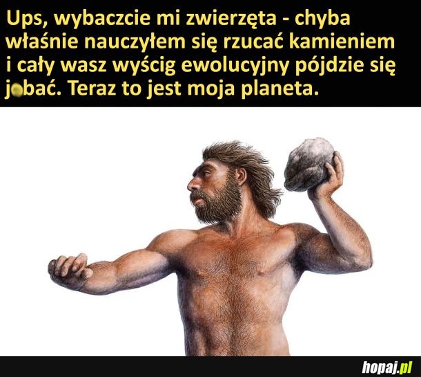 Rip królestwo zwierząt