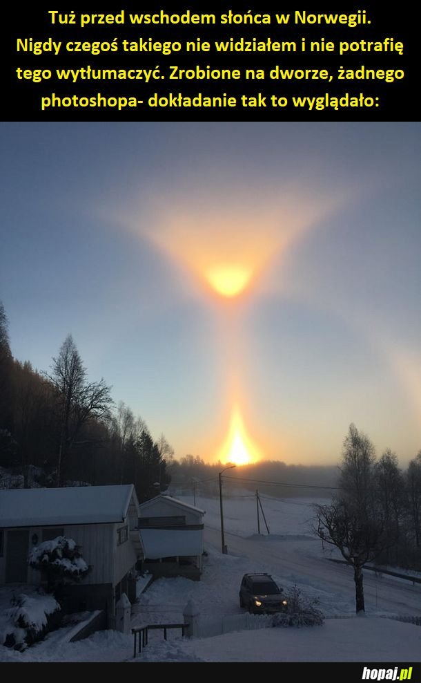 Natura nadal mnie zaskakuje
