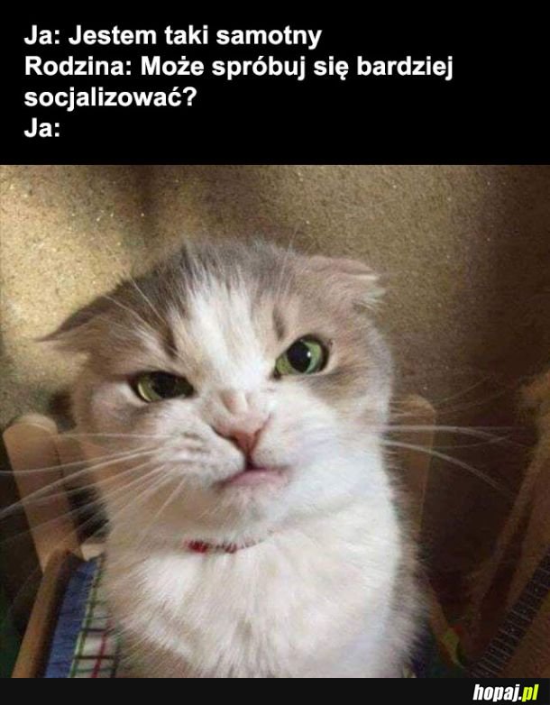 Socjalizacja