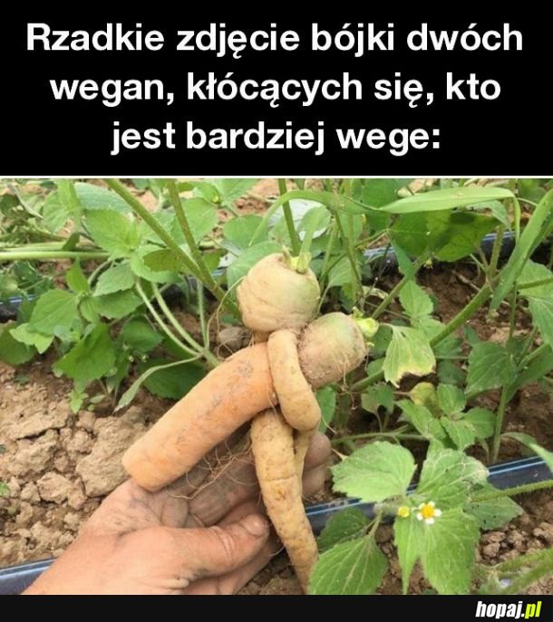 Rzadkie zdjęcie