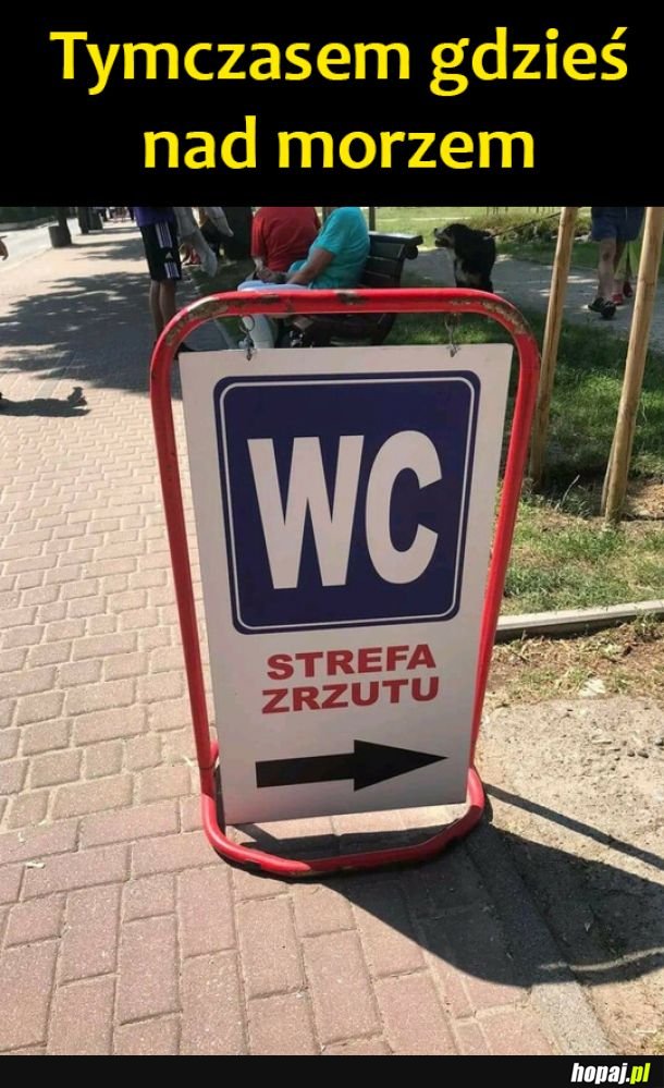 Morze