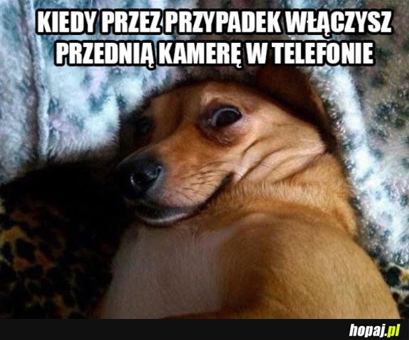 Przednia kamera w telefonie