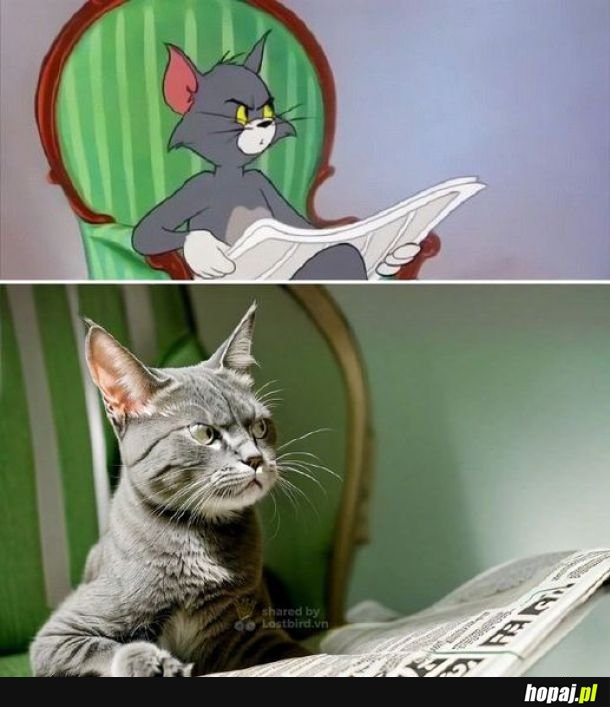 Tom