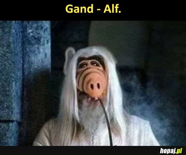 Gandalf