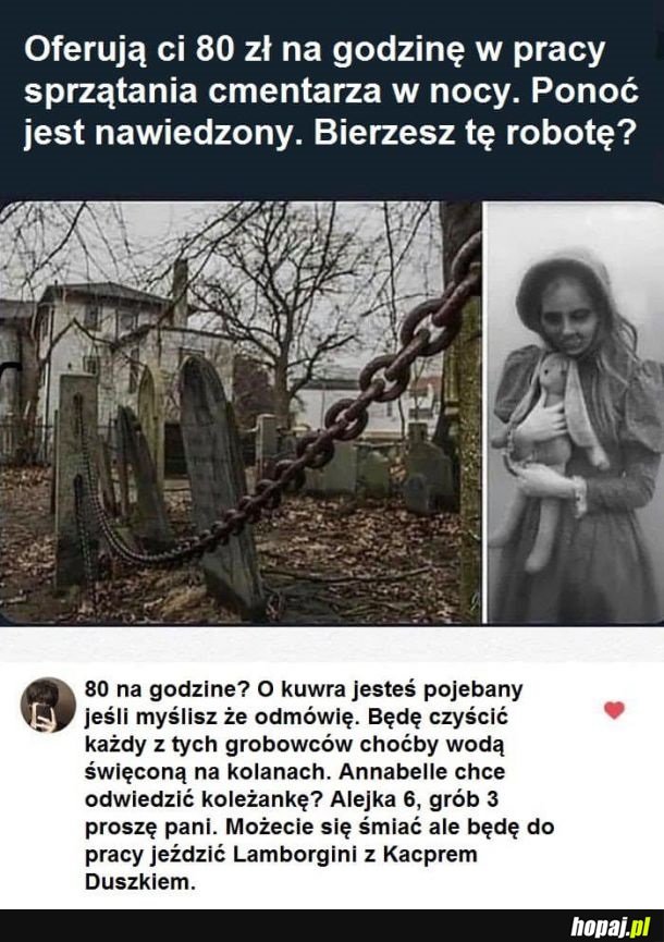 Oferta pracy