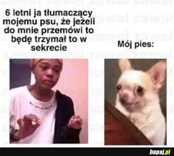 Wigilina noc
