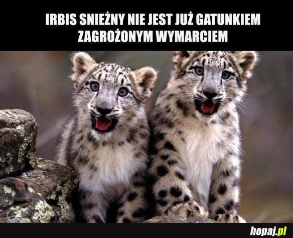 DOBRA WIADOMOŚĆ