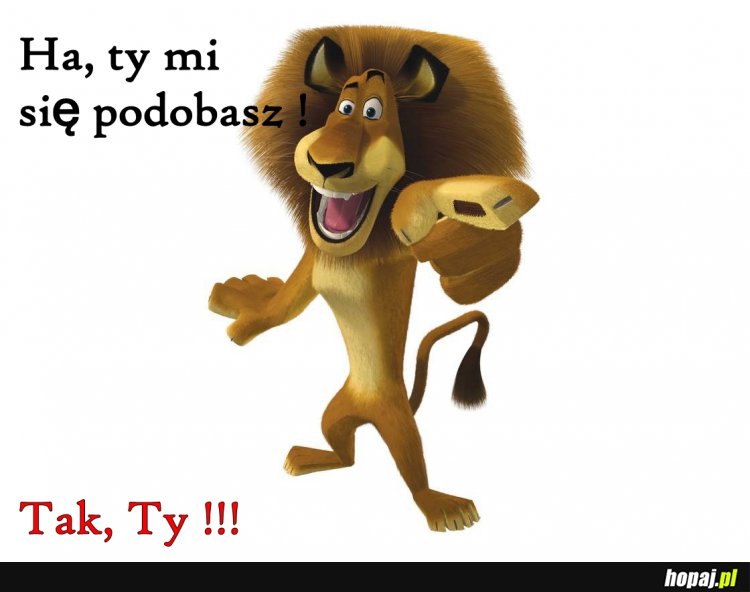 Ha, ty mi się podobasz.