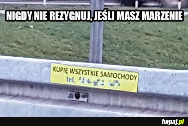 Warto mieć marzenia