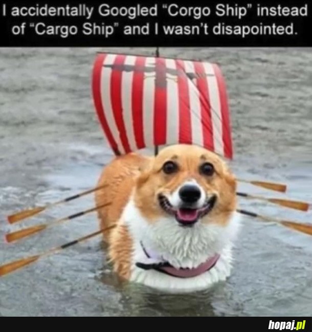 CORGO SHIP