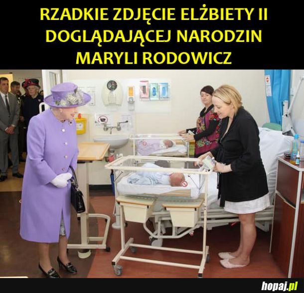 Rzadkie zdjęcie