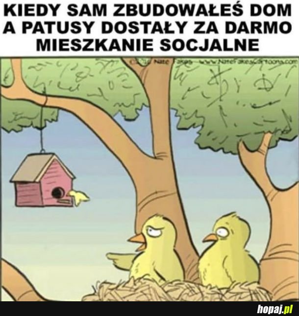 Niesprawiedliwość