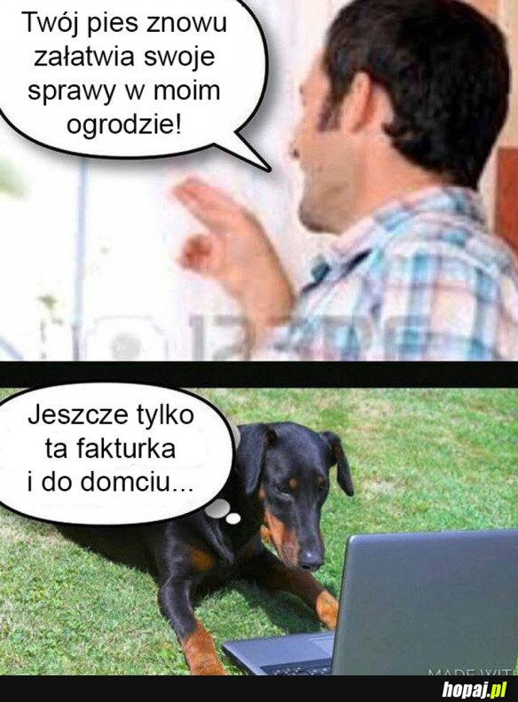 Pieseł