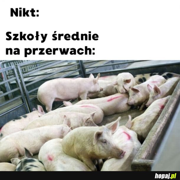  Nowa ustawa szkolna 
