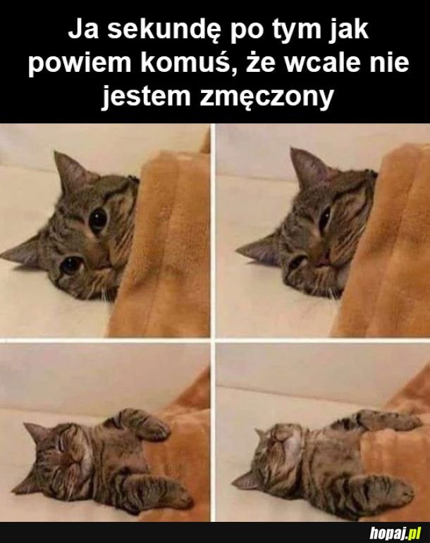 Nie jestem 