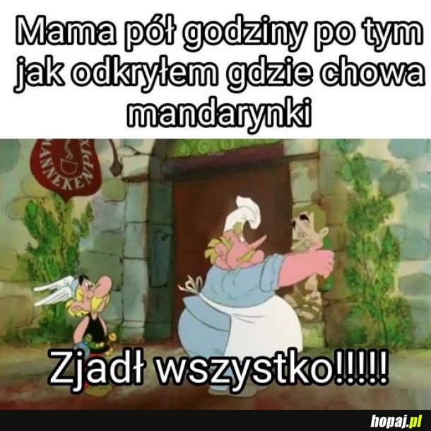 Nic nie zostało