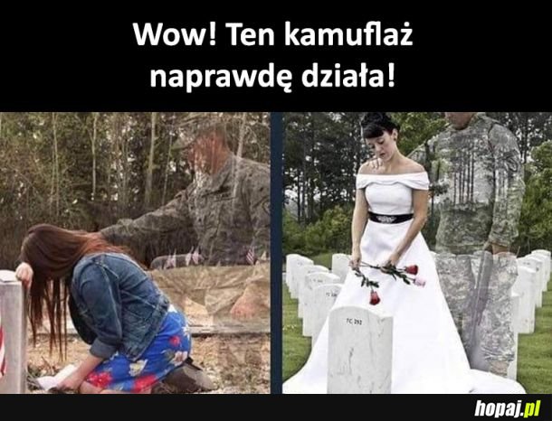 Serio działa!