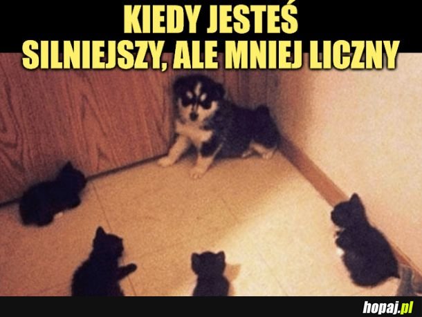 Mają przewagę. 