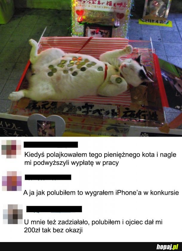Pieniężny kot