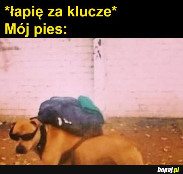 Typowo