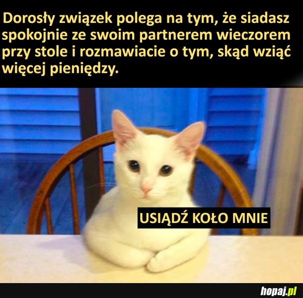 Rozmowy na ważne tematy