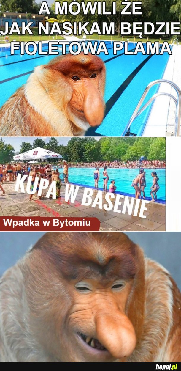 WPADKA