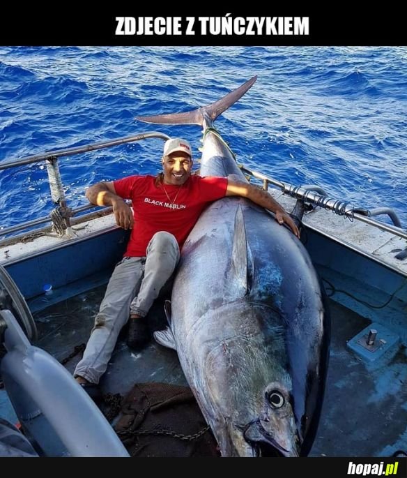 Ogromny tuńczyk