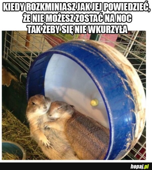TRZEBA TO DOBRZE ROZEGRAĆ