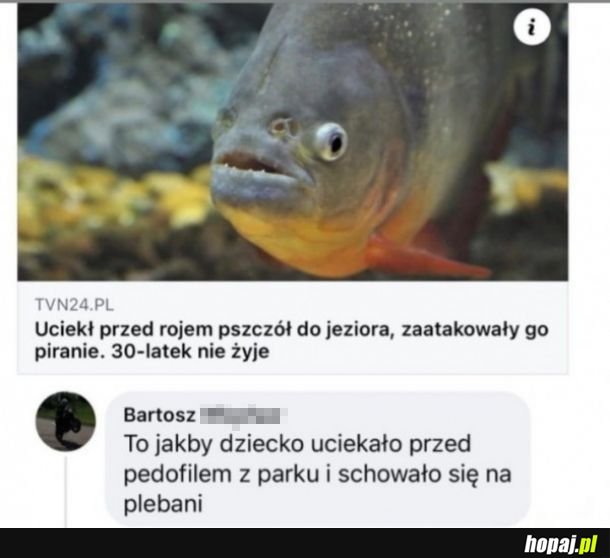Z deszczu pod rynnę.