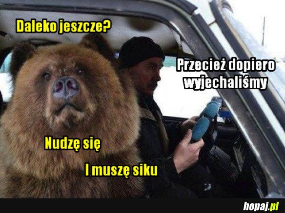 TYPOWA WYCIECZKA
