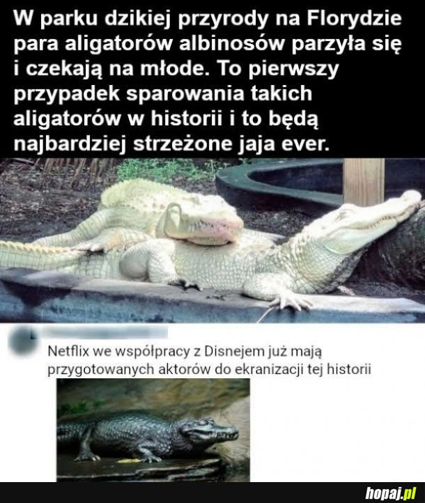 Rzadkie zwierzęta