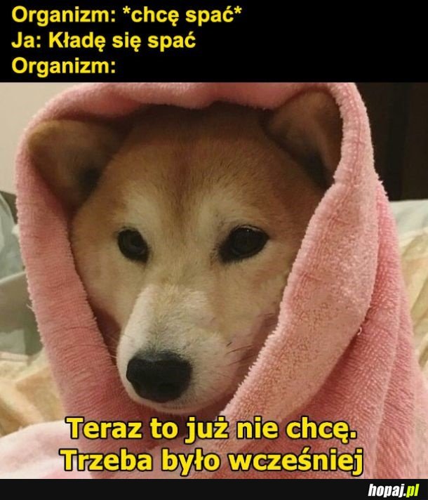 Dlaczego tak jest