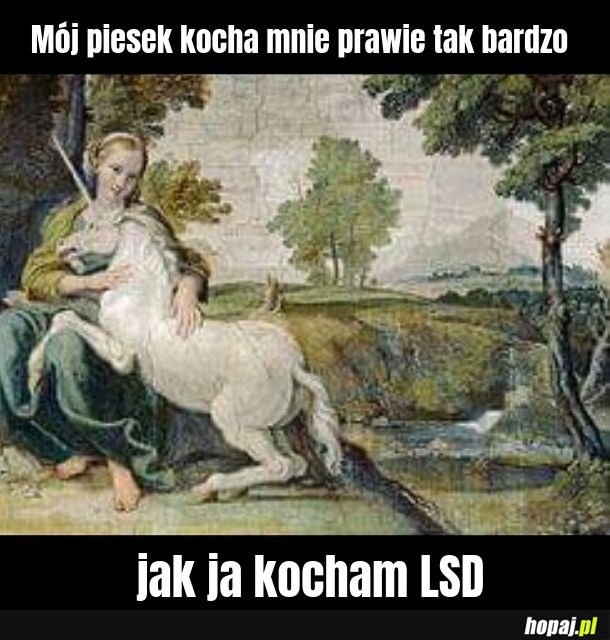 Piesek
