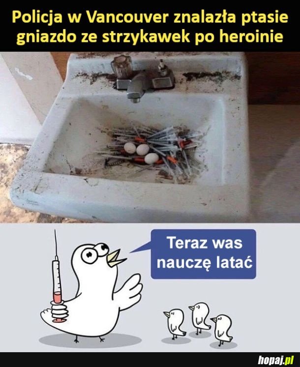 Gniazdo ze strzykawek