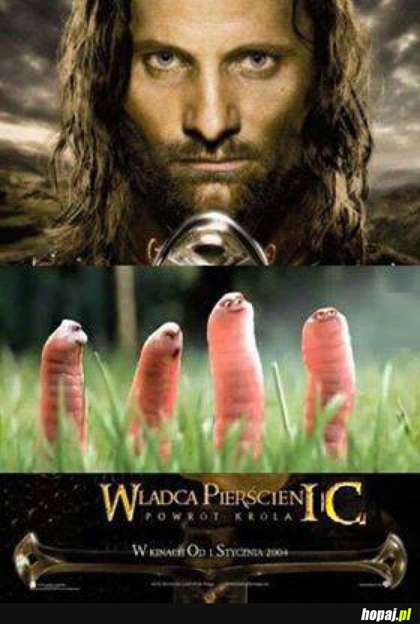 WŁADCA PIERŚCIENIC