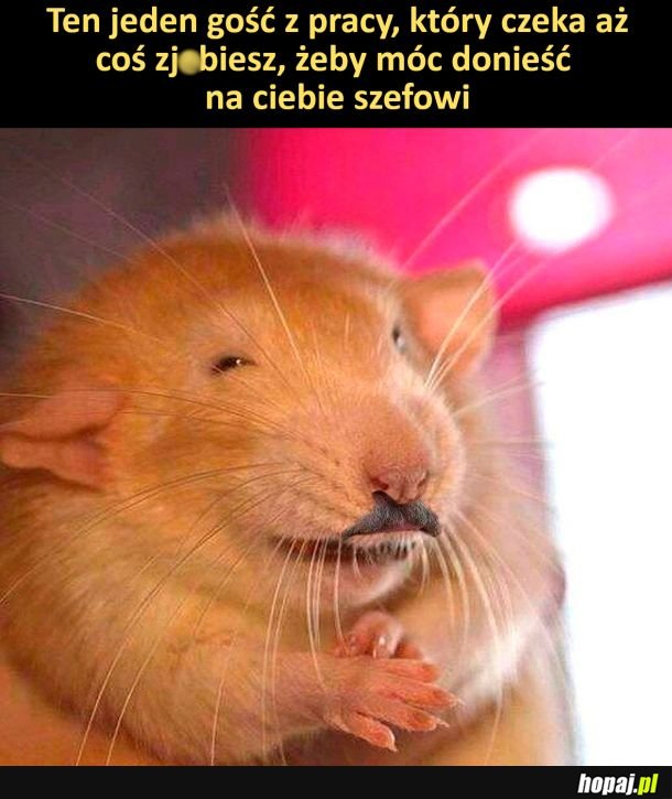 Ten jeden donosiciel z pracy