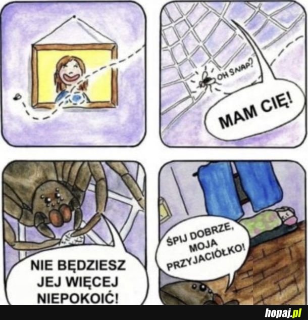 Dobry ziomek pająk
