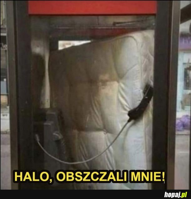 Halo, napadli na materac!