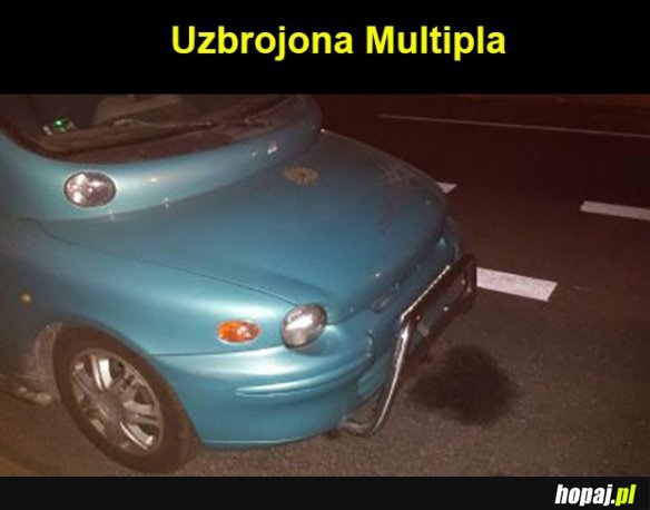 Uzbrojona Multipla