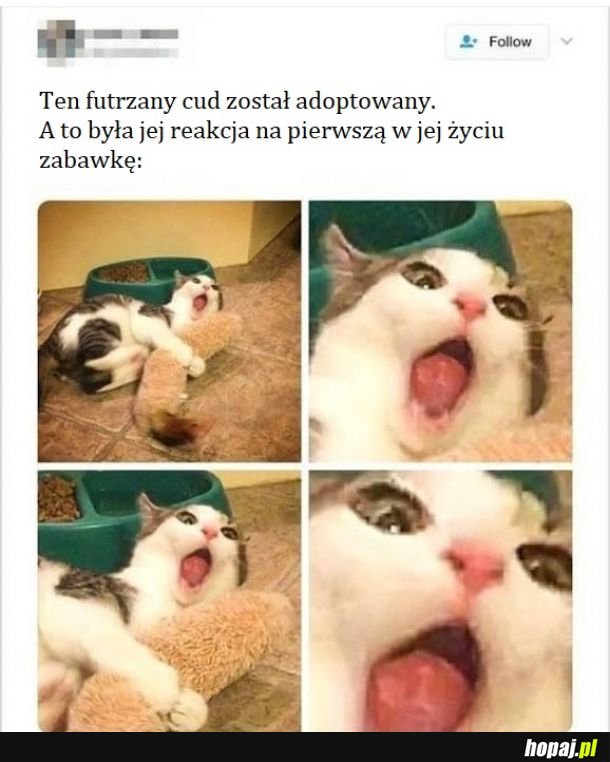 Pierwsza zabawka