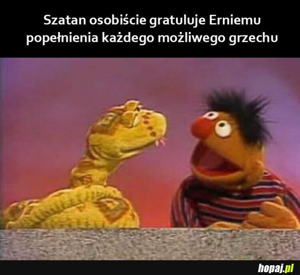 Gratulacja