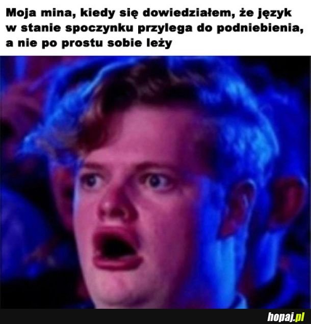  Niesamowite