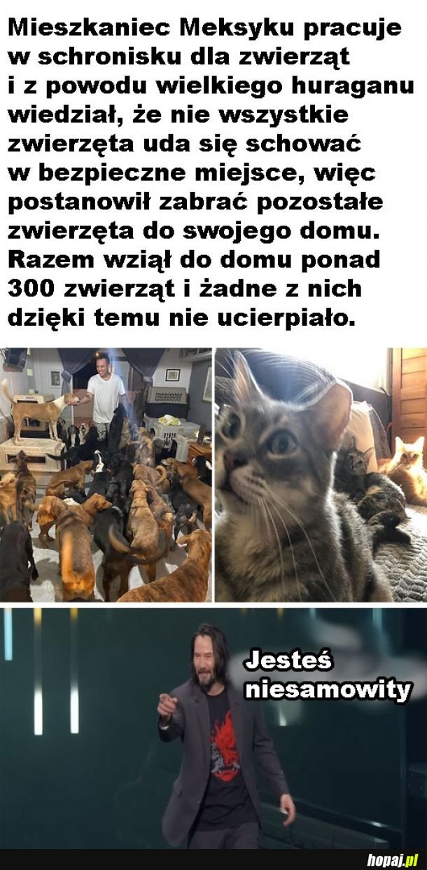 Schronisko w domu