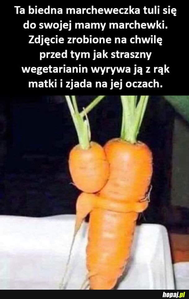 Straszne! Zastanówcie się!