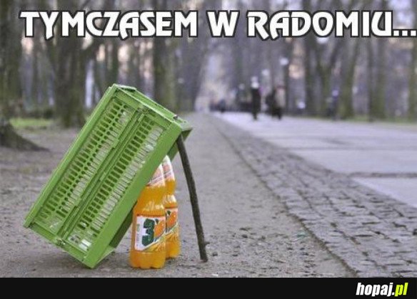 TYMCZASEM W RADOMIU